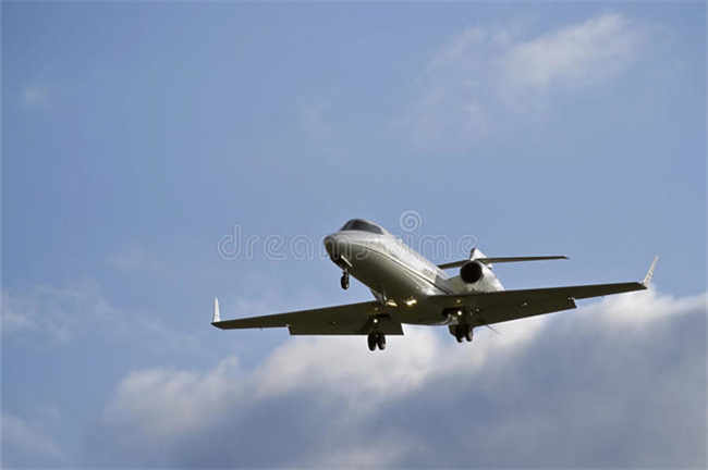 飛機油箱介電常數傳感器